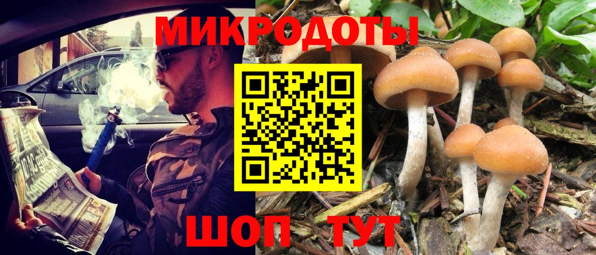 Иваново  Псилоцибиновые грибы Psilocybe  Вход с VPN  Галлюциногенные грибы GOLDEN TEACHER 